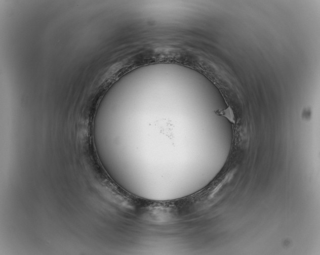 X0000096150756200802011232