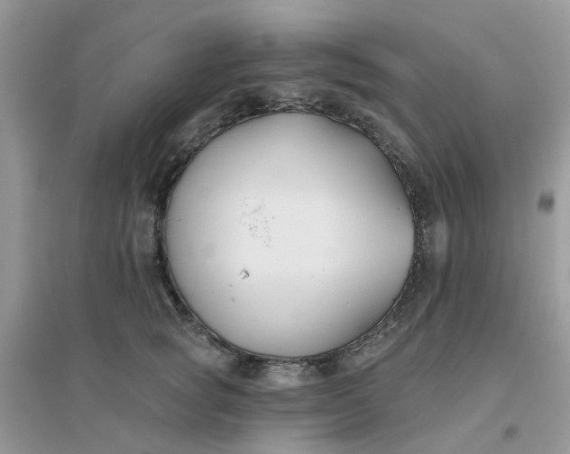 X0000096150757200802011232