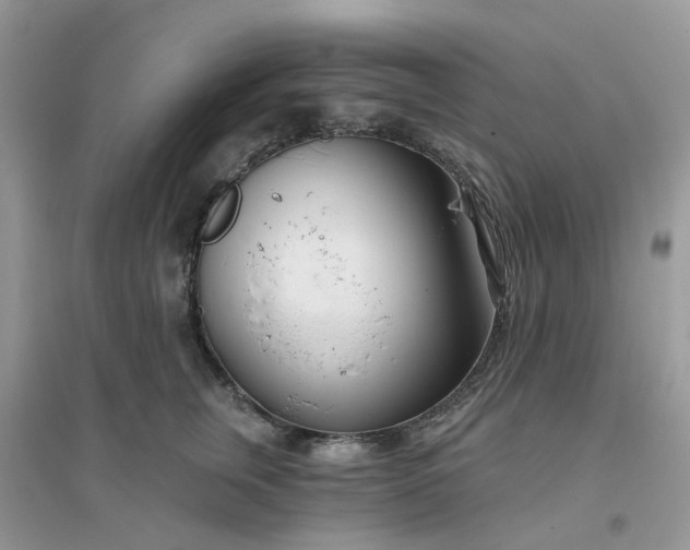 X0000096150759200802011232