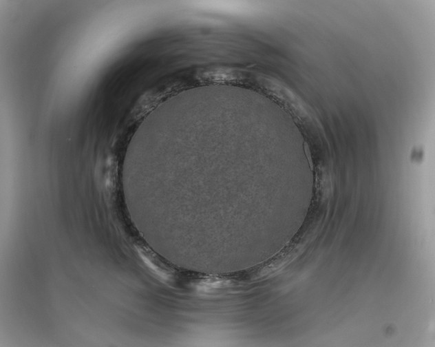 X0000096150760200802011232