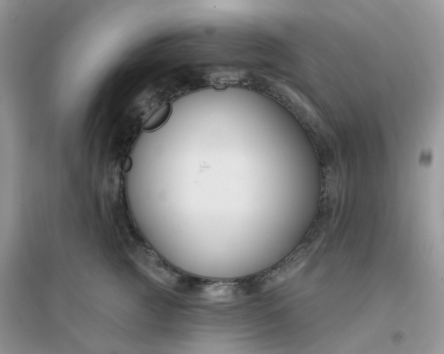 X0000096150761200802011232