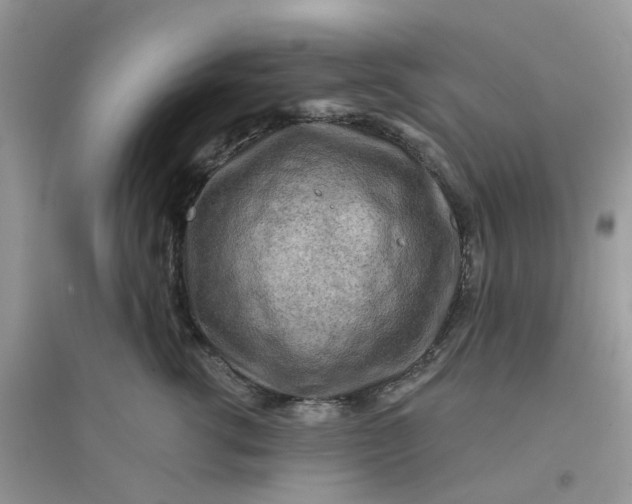 X0000096150762200802011232