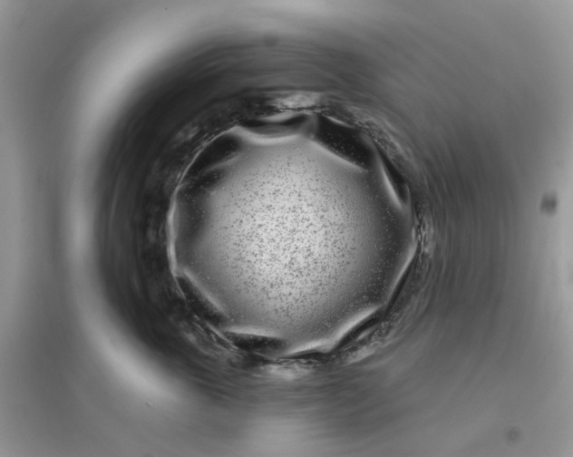 X0000096150763200802011232
