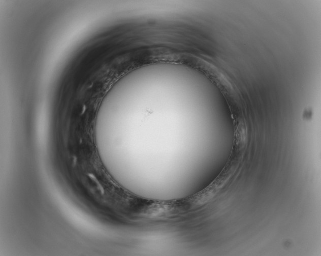 X0000096150764200802011232