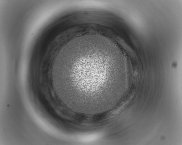 X0000096150765200802011232