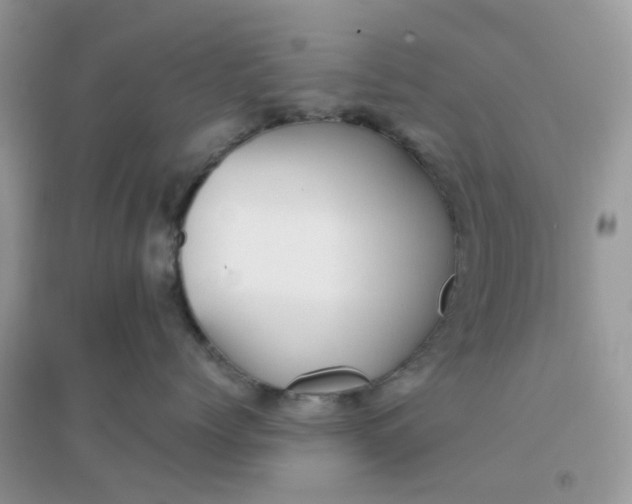X0000096150768200802011232
