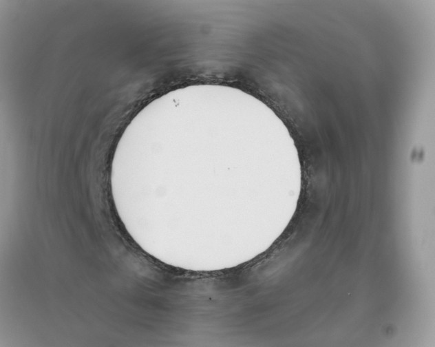 X0000096150769200802011232