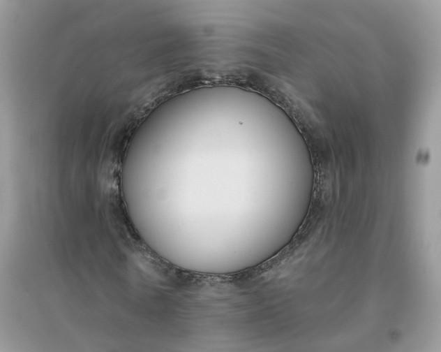 X0000096150770200802011232