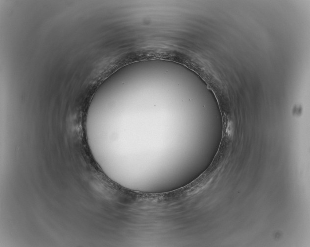 X0000096150771200802011232