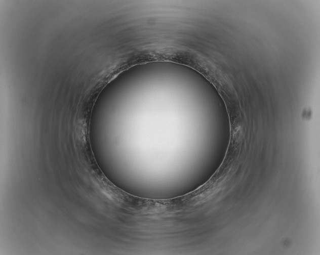 X0000096150772200802011232