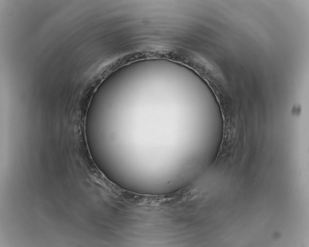 X0000096150773200802011232