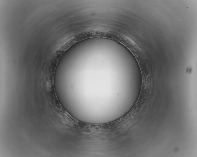 X0000096150774200802011232