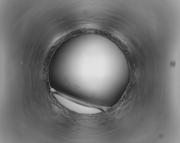 X0000096150775200802011232