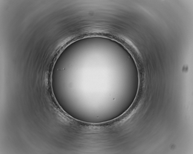 X0000096150777200802011232