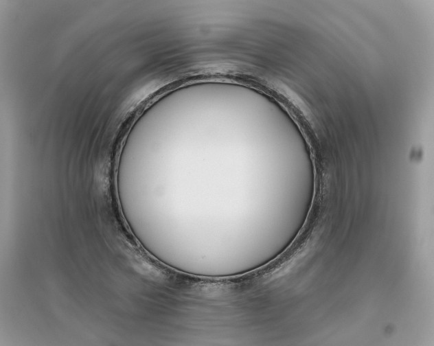 X0000096150778200802011232