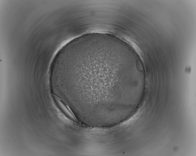 X0000096150779200802011232