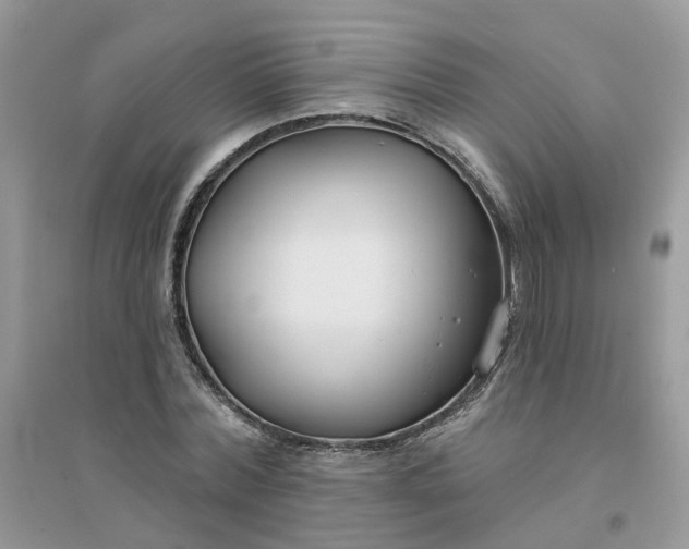 X0000096150780200802011232