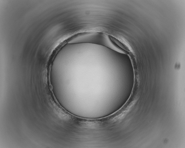 X0000096150781200802011232