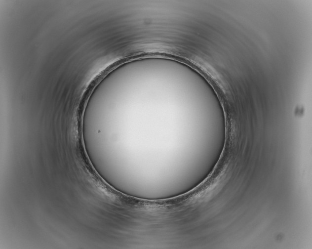X0000096150782200802011232