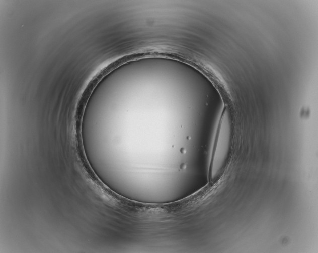 X0000096150784200802011232