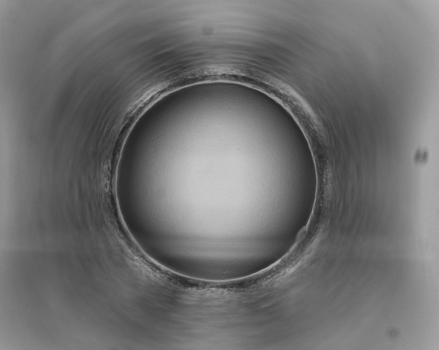 X0000096150785200802011232