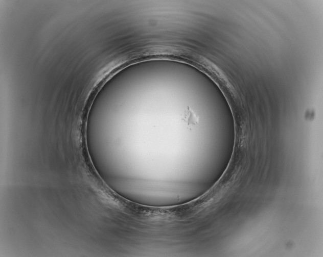 X0000096150786200802011232