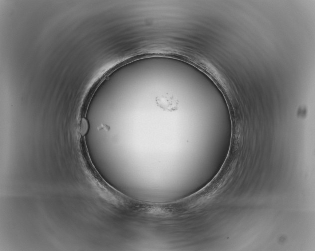 X0000096150787200802011232
