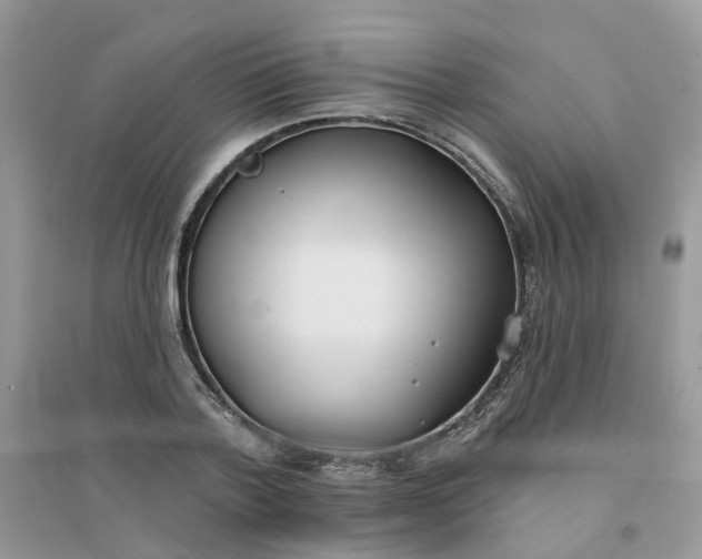 X0000096150788200802011232