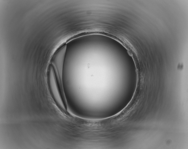X0000096150789200802011232