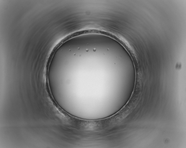X0000096150791200802011231