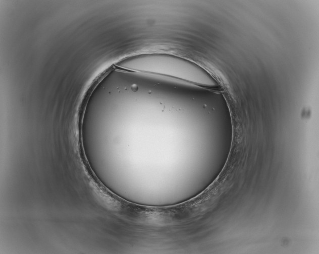 X0000096150792200802011231