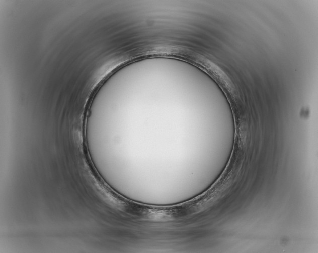 X0000096150794200802011231