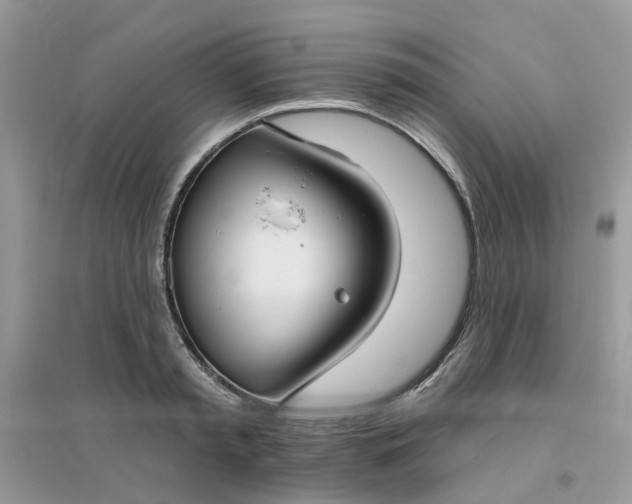 X0000096150797200802011231