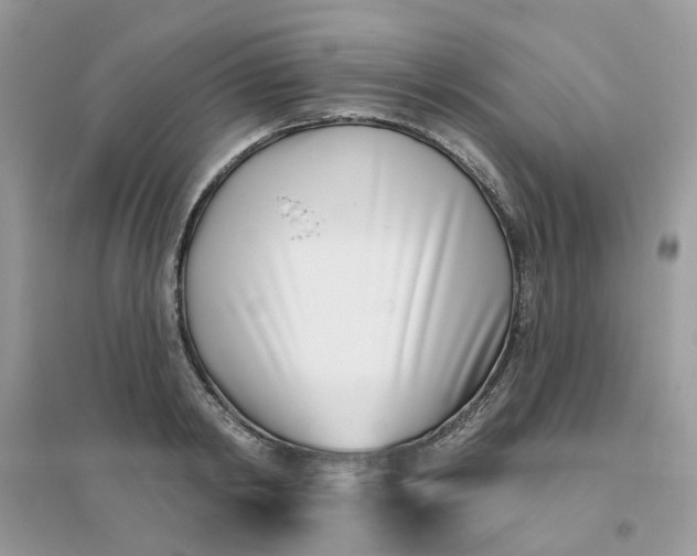 X0000096150798200802011231