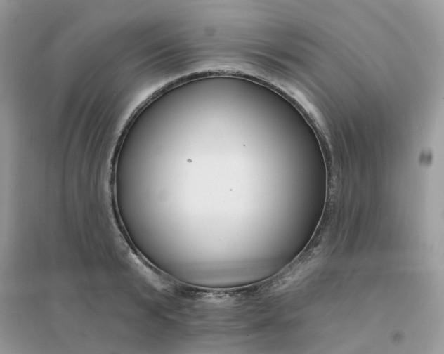 X0000096150799200802011231