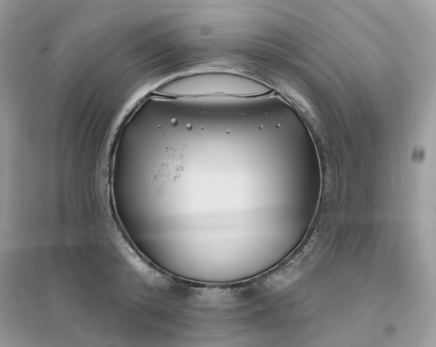 X0000096150800200802011231
