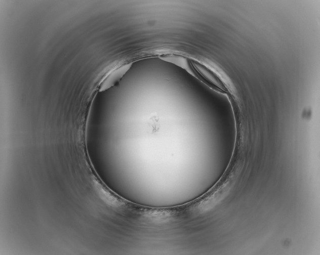 X0000096150801200802011231