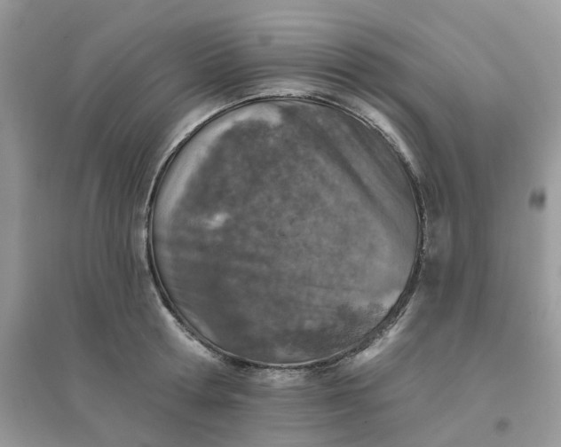 X0000096150802200802011231