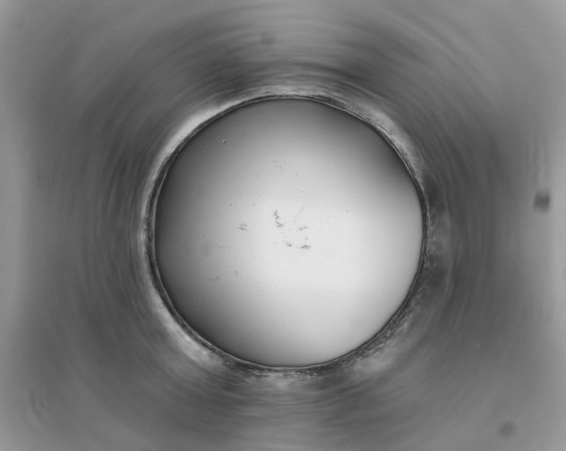 X0000096150803200802011231