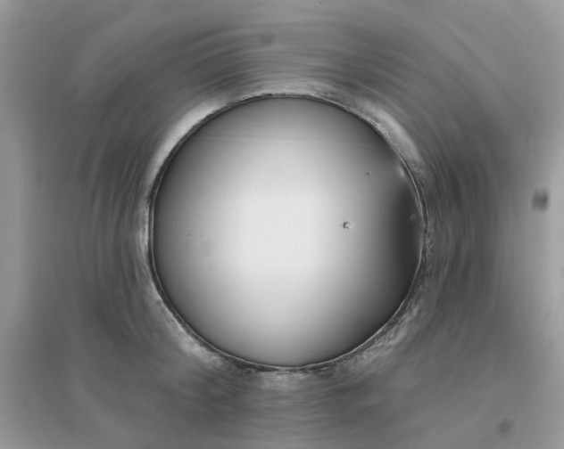 X0000096150804200802011231