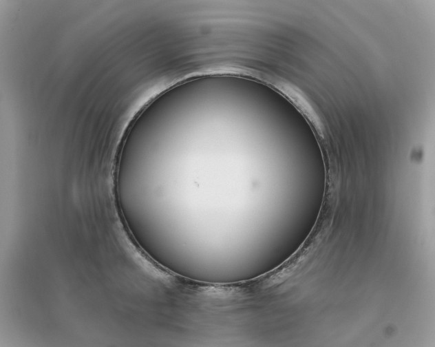 X0000096150805200802011231