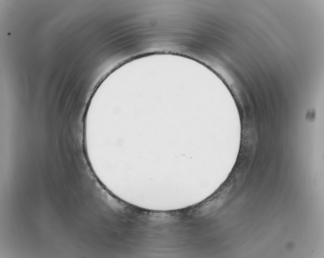 X0000096150807200802011231