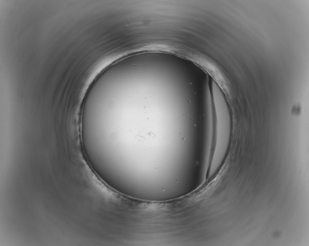 X0000096150808200802011231