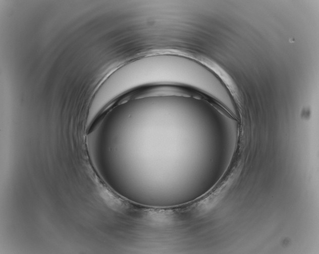 X0000096150809200802011231