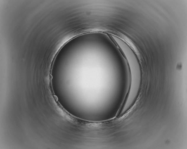 X0000096150810200802011231