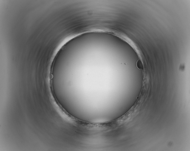 X0000096150811200802011231