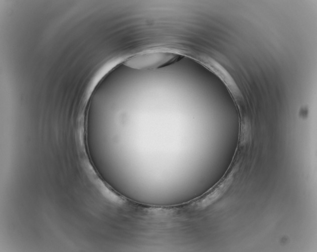 X0000096150812200802011231