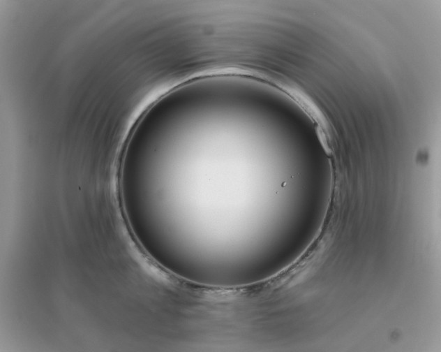 X0000096150813200802011231