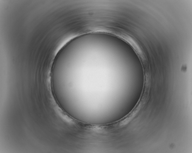 X0000096150814200802011231