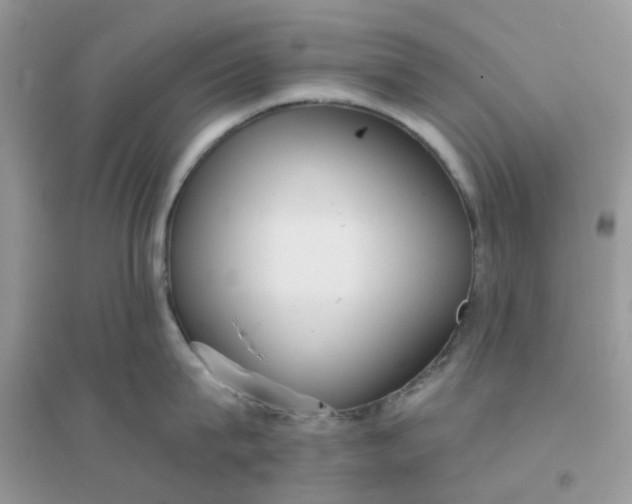 X0000096150815200802011231
